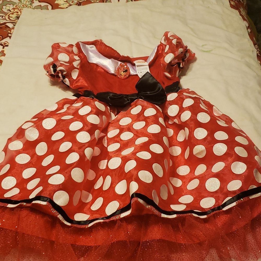 Minnie mouse play dress and ears